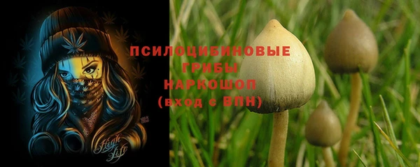 наркотики Белокуриха